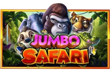 Dasbor pemain surat4d dengan ringkasan akun dan riwayat aktivitas